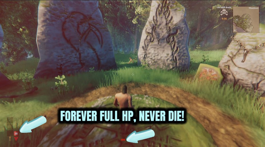 Valheim — Iron Hide (God Mode & Health) (screenshot 2)